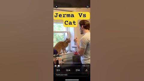 Jerma Vs Cat #jerma985 #highlights #funny #twitch #clips #jerma #twitchclips #jokes #greenscreen