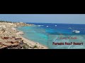 Hotel  Faraana Reef Resort 4*