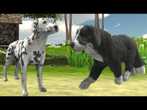 Crazy Dog Race 3D Simulation Android Gameplay ᴴᴰ 