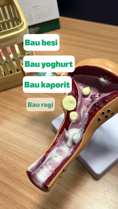 Bau Keputihan yang Normal Kayak Gini?