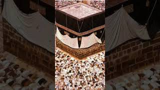 Quran surah Al ASH shura verse 10 #islamicstatus #quranictranslation