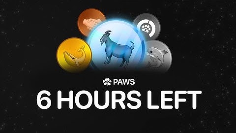 PAWS 🐾 Update: Final Day To Update Ur Badge & Grab wPAWS || PAWS Hints To TGE, Listing & Withdrawal