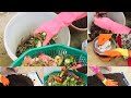 Kitchen waste ನಿಂದ compost ಮಾಡುವುದು ಹೇಗೆ?/Detailed video about composting