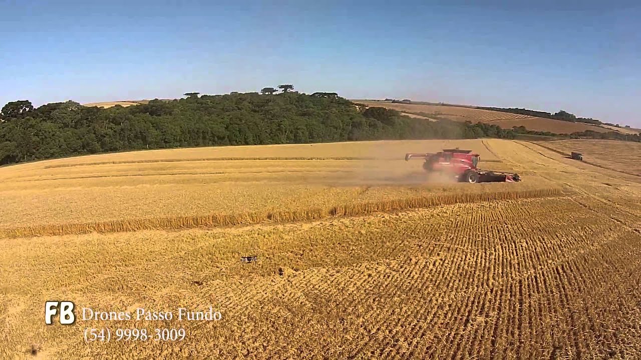 Colheita de Trigo da OR Sementes na Fazenda Webber YouTube Colheita de Trigo da OR Sementes na Fazenda Webber YouTube