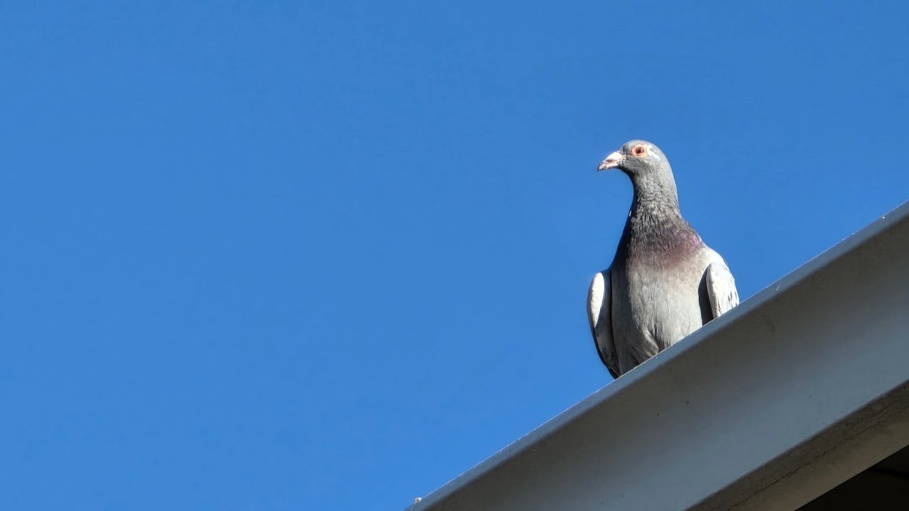 Road to Champion.Twin Cities Group Training.