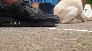 Street Feet The Ultimate Shoe Showcase