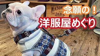 【フレブル】愛犬と念願の洋服屋めぐりに行ってきました！