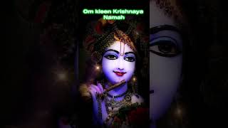 Om Kleem Krishnaya Namah lordkrishna radhakrishna kleemmantra love abundance healing krishna