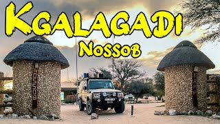 KGALAGADI TRANSFRONTIER PARK - NOSSOB CAMP | Once in a lifetime sightings