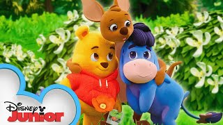 Playdate with Winnie the Pooh | Eeyore, Kanga and the Treasure Hunt | Episode 8 | @disneyjunior Resimi