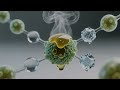 Impacto de microplásticos en el ciclo hidrológico