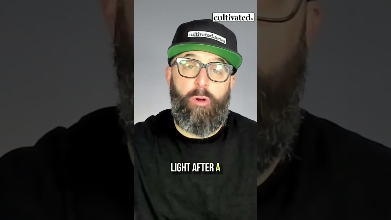 The stalled DEA rescheduling hearings | what it means for the cannabis industry