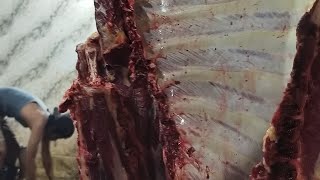 🔴 Live » SSahur sahur....!!! Part. 10