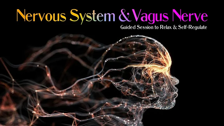 Nervous System & Vagus Nerve :: Support, Relax & S...