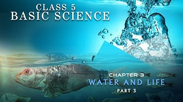 CLASS 5 BASIC SCIENCE / CHAPTER 3 : WATER AND LIFE PART 3class5#newsyllabus#scert