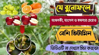 Sonneratia Apetala | Coastal Wild Fruit | Rural Fruit | Kewra Fruit | Keora | কেওড়া | Village Scan