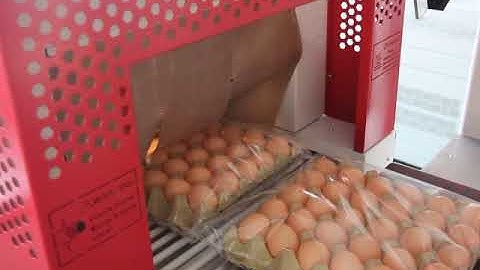 egg tray shrink wrap machine