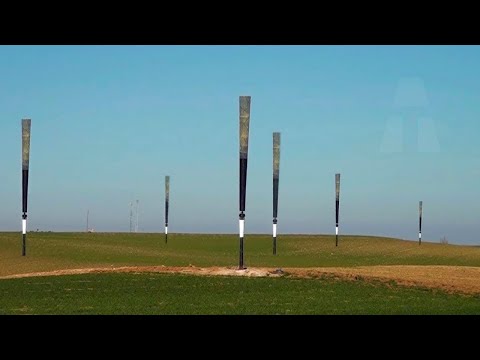 Video: Wo wurde der flügellose Vogel gefilmt?