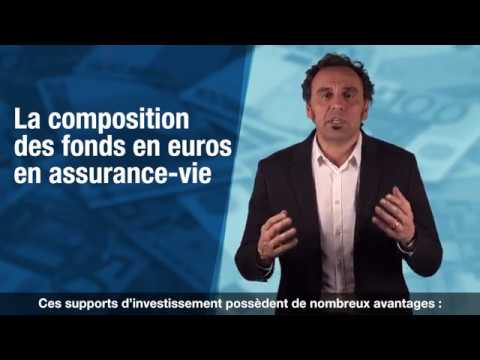 La composition des fonds en euros en assurance vie La composition des fonds en euros en assurance vie