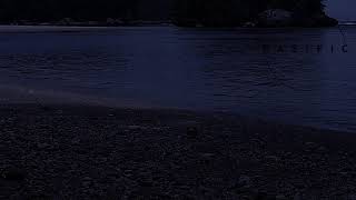 Peaceful Beach Sounds ASMR | Natural Ocean Waves to Relieve Anxiety and Improve Sleep