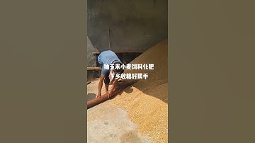 Flexible Feed Auger