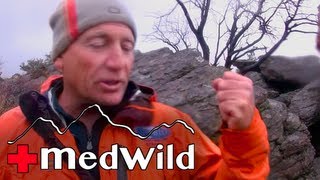 Wilderness Medicine: Altitude Illness and Carbon Monoxide