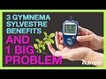 Avantages gymnema sylvestre la glycmie sinquite