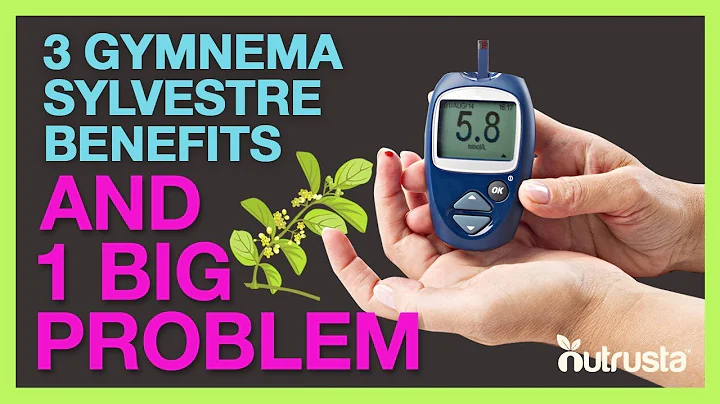 Gymnema Sylvestre Benefits For Diabetes (&1 BIG Pr...