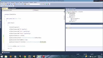 Propiedades basicas de un DataGridView - Visualizandolanet