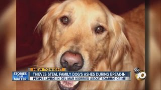 Thieves steal family dog's ashes during break-in