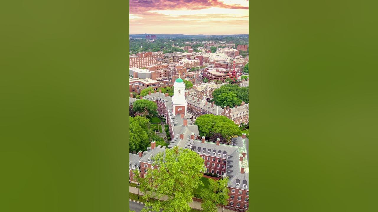 why-harvard-is-so-hard-to-get-into-shorts-harvard-youtube