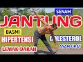 Senam jantung  untuk hipertensi  colesterol  asam urat  lemak darah akan hilang