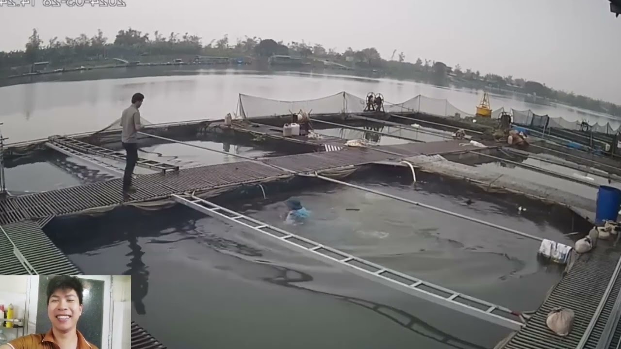 Những pha hài hước khó đỡ của năm. Cười lộn ruột với những tình huống hài hước 