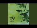 אולי הפעם אולי הפעם