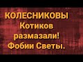 Семья Колесниковых/Новости из Дворца.