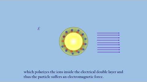Dielectrophoresis (DEP) and Optical tweezers