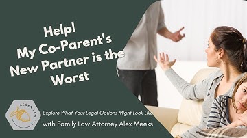 Help! What Can I Do About My Co Parent