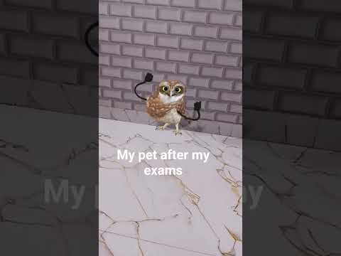 Https Share Snapchat Com M Ti9d35c Share Id WJVBj1cS7WQ Locale En IN 