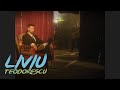 Liviu Teodorescu - Pe curand (Official Video) 🔥 LiTe Moments