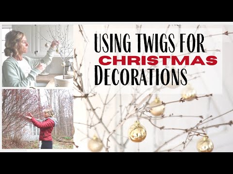 Video: DIY Craft: Twig Leash Chủ