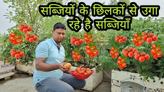 सब्जियों के छिलकों से हो गया चमत्कार Kitchen waste compot garden