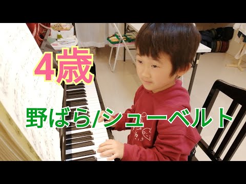 4歳　野ばら/シューベルト