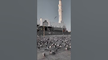 سورة الأحزاب (آية 56)