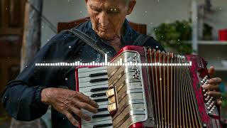 Midnight Boulevard — Smooth Accordion | Modern Musette Lounge, Elegant Acoustic Background