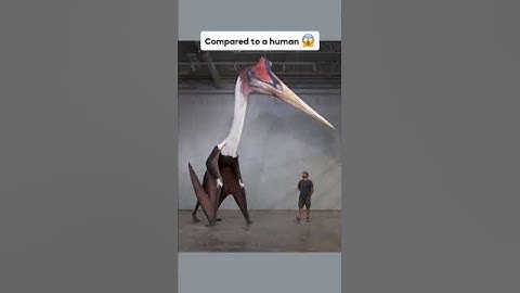 Things that bigger than u think....😱🦕 (scary tiktok) #shorts