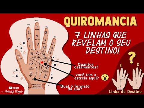 Vídeo: Como Aprender A Ler Sua Mão