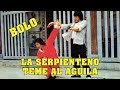 Wu Tang Collection - La Serpiente Lo Teme al Aguila - (Fearless Master)  Spanish Version