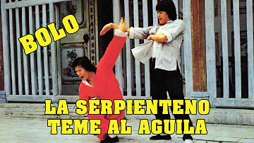 Wu Tang Collection - La Serpiente Lo Teme al Aguila - (Fearless Master)  Spanish Version