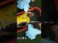ネイマール全盛期