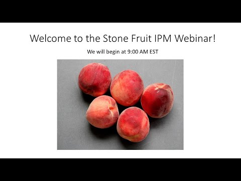 Stone Fruit IPM Recording